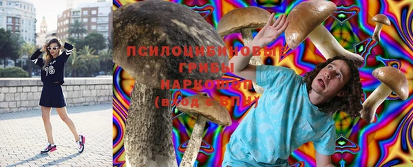 кокс Тайга