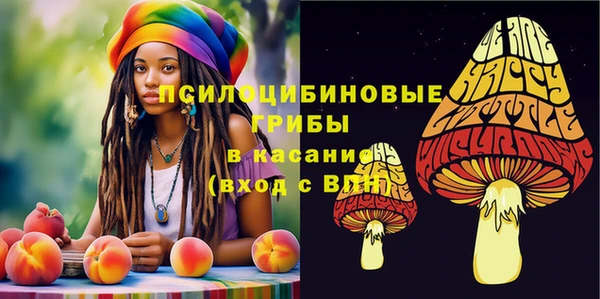 кристаллы Тавда