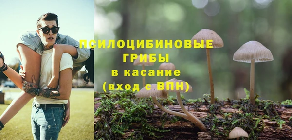 кристаллы Тавда