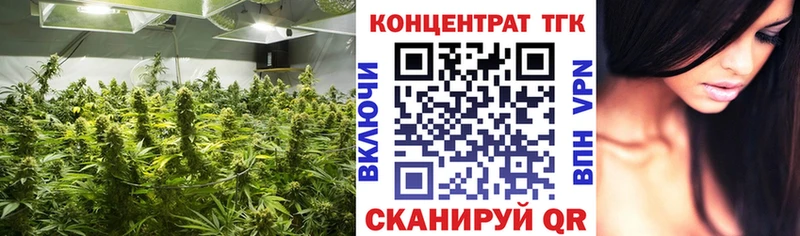 Купить где  Киров  Дистиллят ТГК THC oil 