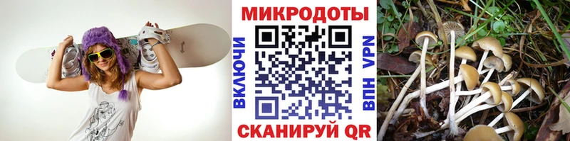 Купить закладки  Киров  Псилоцибиновые грибы MAGIC MUSHROOMS 